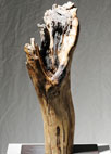 "Füllhorn", Fundholz Buche, 2006