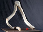 "Ohne Titel", Pinie auf Eisengitter, 2006